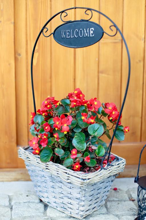 Landhaus Bed&Breakfast Vişeu de Sus Екстериор снимка